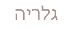 גלריה